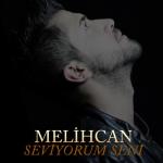 album image Seviyorum Seni Seviyorum Seni - Single