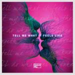 album image Tell Me What It Feels Like Tell Me What It Feels Like (feat. Mingue) - Single