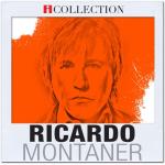 album image Amarte Es Mi Pecado iCollection
