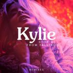 album image Stop Me from Falling Stop Me from Falling (Remixes) - EP