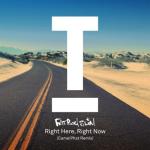 album image Right Here Right Now (Khrym58 2021 Edit) Right Here Right Now (CamelPhat Remix) - Single