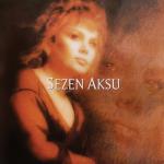 album image Şimal Yıldızı Şimal Yıldızı - Single