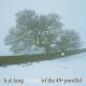 K.D. Lang - Hallelujah (Vancouver 2010 Paralympic Winter Games)