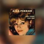 album image Her Yerde Kar Var Her Yerde Kar Var - Single