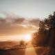 Study Music & Sounds, Deep Sleep, Yoga Workout Music - More Than We Thought Possible