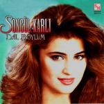 album image Yandırdın Kalbimi Dal Boylum