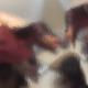 10 JAN EJEM - 10 JAN EJEM.mp3
