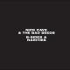 Nick Cave and the Bad Seeds - The mercy seat (acoustic) (320)