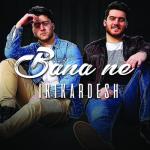 album image Bana Ne Bana Ne - Single