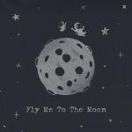 album image Fly Me to the Moon Fly Me to the Moon - Single