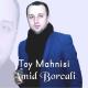 Toy Mahnisi - Amid Borcali