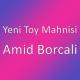 Yeni Toy Mahnisi - Amid Borcali