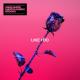 David Guetta Martin Garrix - Like I Do Acap In Out Top 40 Club Redrum Clean