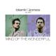 Blank & Jones - Mind of the Wonderful