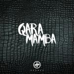 album image Qara Mamba Qara Mamba - Single