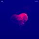 FVHM, PowerDress - Passionate (2019)