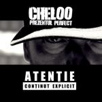 album image Prezentul Perfect Prezentul Perfect - Single