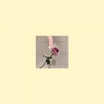 album image So Lost Love Wounds