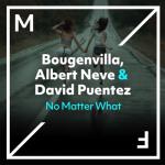 album image No Matter What No Matter What - Single