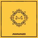 album image Starry Night Yellow Flower