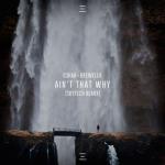 album image Ain't That Why Ain't That Why (Skytech Remix) - Single