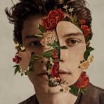 album image Lost In Japan Shawn Mendes