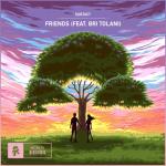 album image Friends Friends (feat. Bri Tolani) - Single
