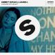 Ummet Ozcan, Laurell - Change My Heart