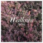 album image It's Only Right Spring - EP