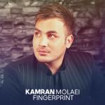 album image Ham Ghadam Fingerprint