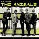album image We Gotta Get Out Of This Place Most of the Animals