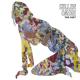 Cullen Omori - Four Years