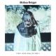 Bishop Briggs - River (King Kavalier Remix) [#mfysoul]