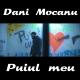 Dani Mocanu - Puiul Meu 2018