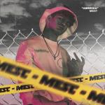 album image MEST – Amnesia (2018)