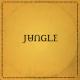 Jungle - Happy Man (Original Mix)