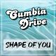 Ed Sheeran - Shape of You (BKAYE Remix) (Mp3goo.com)