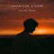 Harrison Storm - Feeling You