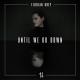 Florian Grey - Until We Go Down