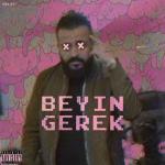 album image Beyin Gerek