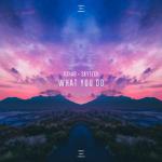 album image What You Do What You Do - Single