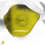 album image Better Now (Anevo & Trove Cover) Better Now - Single