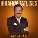 album image Yaylalar Yaylalar - Single
