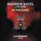 Andrew Rayel, HALIENE - In The Dark