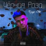 album image детка ты пуля Чёрная роза