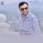 album image Ya Alloh Ya Alloh - Single