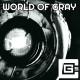 CG5 feat. Swiblet - World of Gray