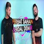 album image Ya Leyli Ya Leyli (feat. Serdal Demir) - Single
