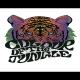 Colour of the Jungle - Dirty Wave