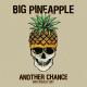 Big Pineapple - Another Chance (Don Diablo Extended)